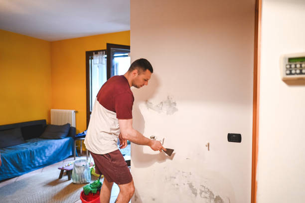 Best Certified Mold Removal  in Alva, FL